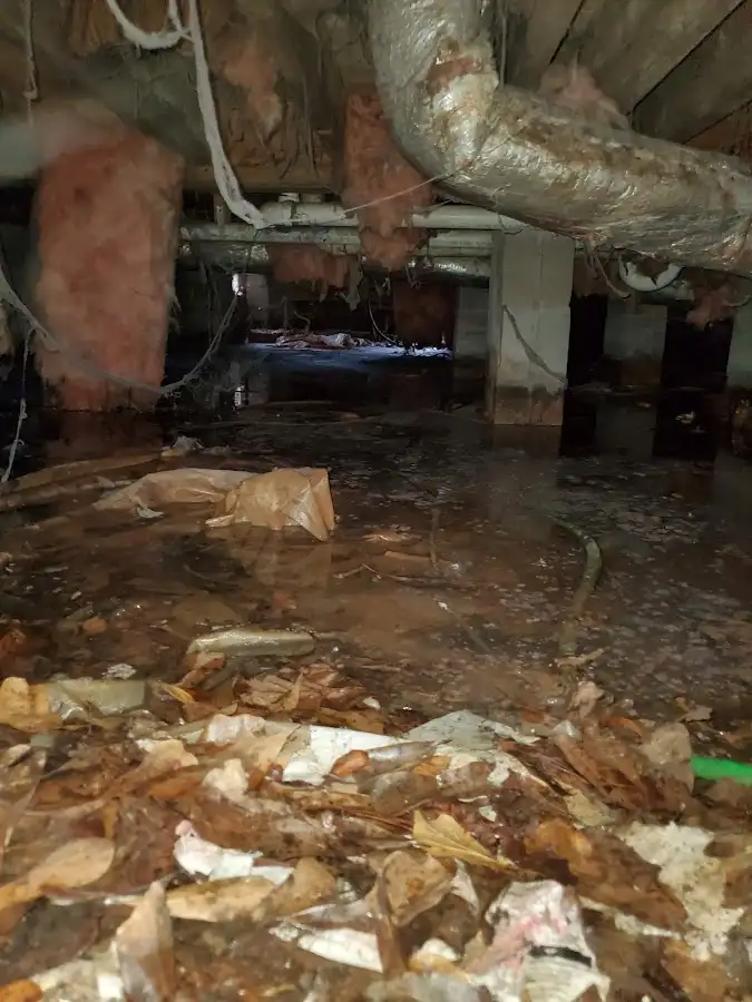 Crawl space flood assessment for Commercial Water Damage Restoration in Whitestown