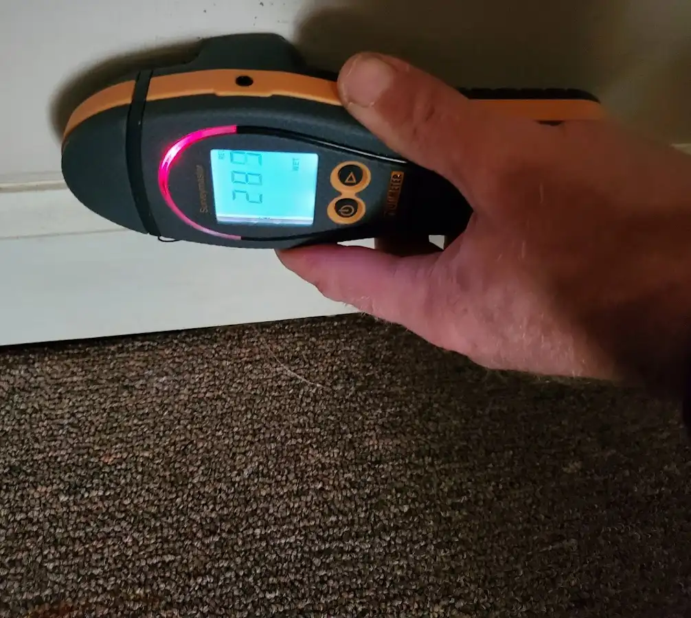 Moisture detection at baseboard during Mold Inspection & Testing in Whitestown